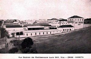 Oran-Gambetta - Vins Gays